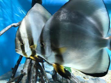 サンシャイン水族館に投稿された画像（2022/3/27）