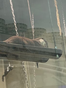 サンシャイン水族館に投稿された画像（2022/3/27）