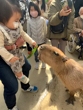 神戸どうぶつ王国に投稿された画像（2022/3/27）