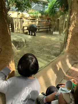 神戸どうぶつ王国に投稿された画像（2022/3/27）