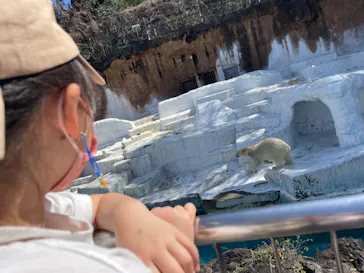 天王寺動物園に投稿された画像（2022/3/27）