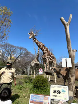 天王寺動物園に投稿された画像（2022/3/27）