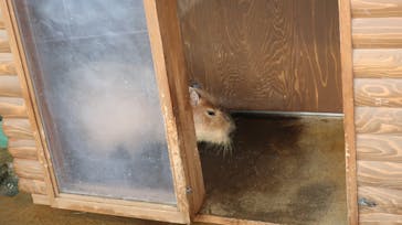 新江ノ島水族館に投稿された画像（2022/3/27）