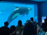 名古屋港水族館に投稿された画像（2022/3/27）