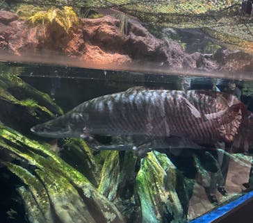 マクセル アクアパーク品川に投稿された画像（2022/3/27）