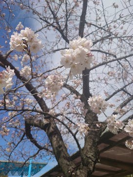 名古屋港水族館に投稿された画像（2022/3/27）