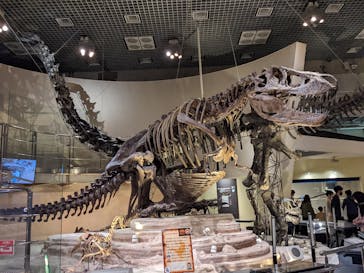 国立科学博物館に投稿された画像（2022/3/27）