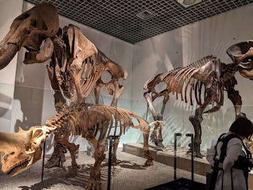 国立科学博物館に投稿された画像（2022/3/27）