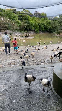 ネオパークオキナワに投稿された画像（2022/3/27）