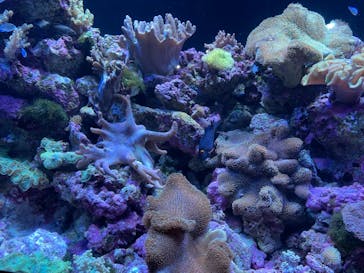 マクセル アクアパーク品川に投稿された画像（2022/3/27）