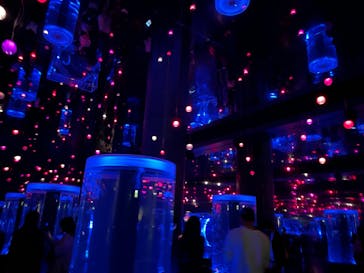 マクセル アクアパーク品川に投稿された画像（2022/3/27）