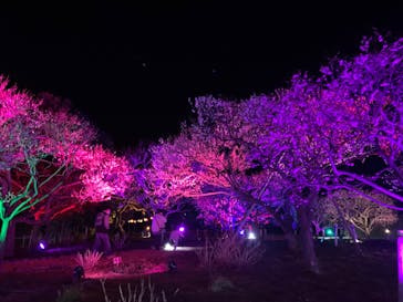 せんだい農業園芸センター　みどりの杜に投稿された画像（2022/3/27）