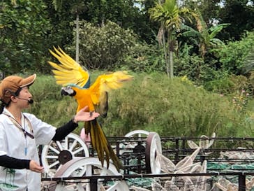 美らヤシパークオキナワ・東南植物楽園に投稿された画像（2022/3/27）