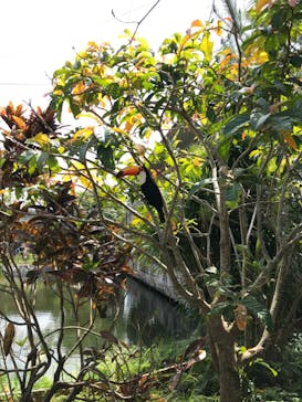 ネオパークオキナワに投稿された画像（2022/3/27）