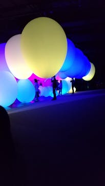 森ビル デジタルアート ミュージアム：エプソン チームラボボーダレスに投稿された画像（2022/3/27）