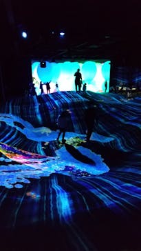 森ビル デジタルアート ミュージアム：エプソン チームラボボーダレスに投稿された画像（2022/3/27）