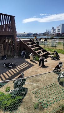名古屋港水族館に投稿された画像（2022/3/27）