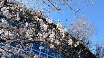 名古屋港水族館に投稿された画像（2022/3/27）
