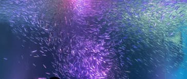 名古屋港水族館に投稿された画像（2022/3/27）