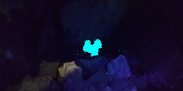 あぶくま洞に投稿された画像（2022/3/27）