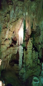 あぶくま洞に投稿された画像（2022/3/27）