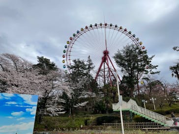 西武園ゆうえんちに投稿された画像（2022/3/27）