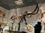 国立科学博物館に投稿された画像（2022/3/28）