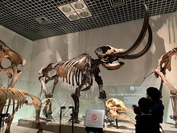 国立科学博物館に投稿された画像（2022/3/27）