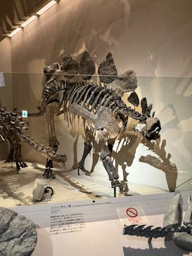 国立科学博物館に投稿された画像（2022/3/27）