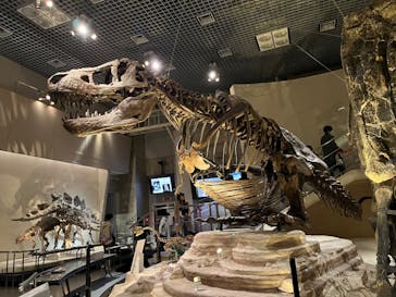 国立科学博物館に投稿された画像（2022/3/27）