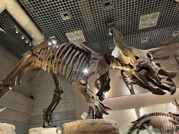 国立科学博物館に投稿された画像（2022/3/27）