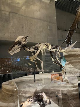 国立科学博物館に投稿された画像（2022/3/27）