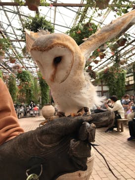 富士花鳥園に投稿された画像（2022/3/27）