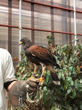 富士花鳥園に投稿された画像（2022/3/27）