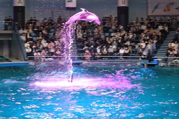 マクセル アクアパーク品川に投稿された画像（2022/3/27）