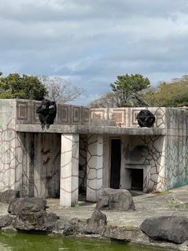 伊豆シャボテン動物公園に投稿された画像（2022/3/27）