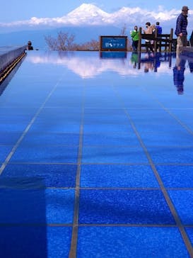 伊豆パノラマパークに投稿された画像（2022/3/28）