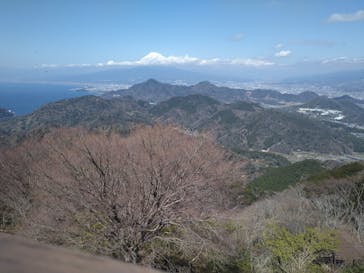 伊豆パノラマパークに投稿された画像（2022/3/28）