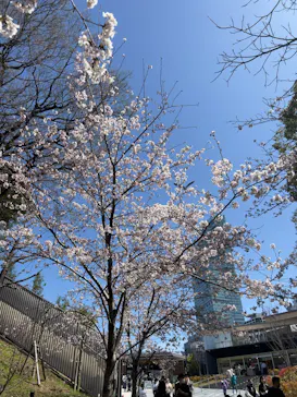 天王寺動物園に投稿された画像（2022/3/28）
