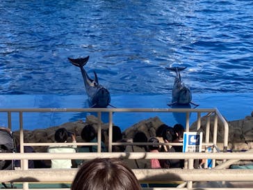 名古屋港水族館に投稿された画像（2022/3/28）