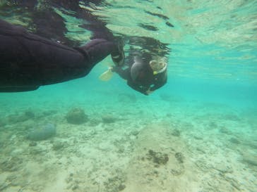 武藤潜水に投稿された画像（2022/3/28）