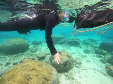 武藤潜水に投稿された画像（2022/3/28）