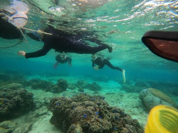 武藤潜水に投稿された画像（2022/3/28）