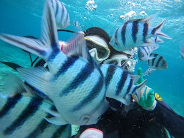 青の洞窟専門店　沖縄ダイビングショップ和に投稿された画像（2022/3/28）