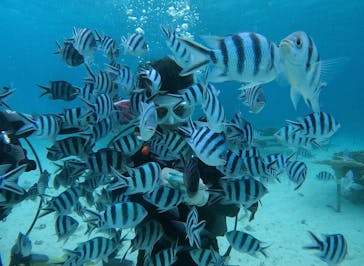 青の洞窟専門店　沖縄ダイビングショップ和に投稿された画像（2022/3/28）