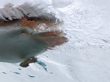 サンシャイン水族館に投稿された画像（2022/3/28）