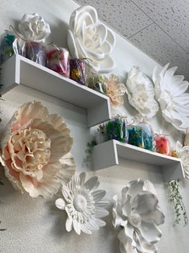 ずこうしつ〜sugamo〜に投稿された画像（2022/3/28）