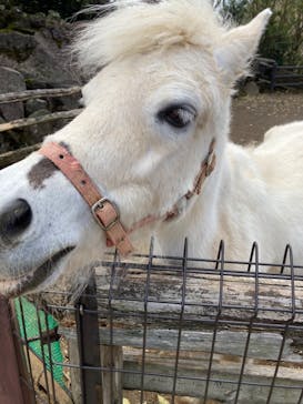 伊豆シャボテン動物公園に投稿された画像（2022/3/28）