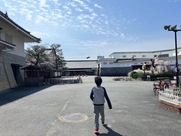 東映太秦映画村に投稿された画像（2022/3/28）