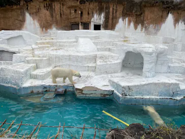 天王寺動物園に投稿された画像（2022/3/28）